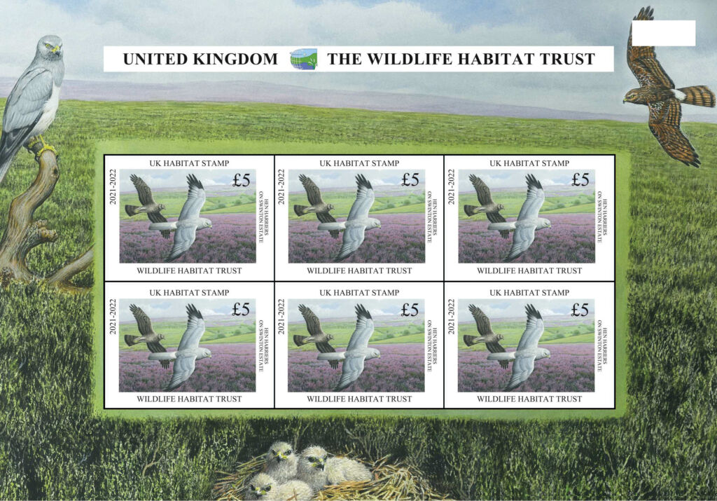 Hen Harriers adorn conservation stamp for 2021 The Game Fair