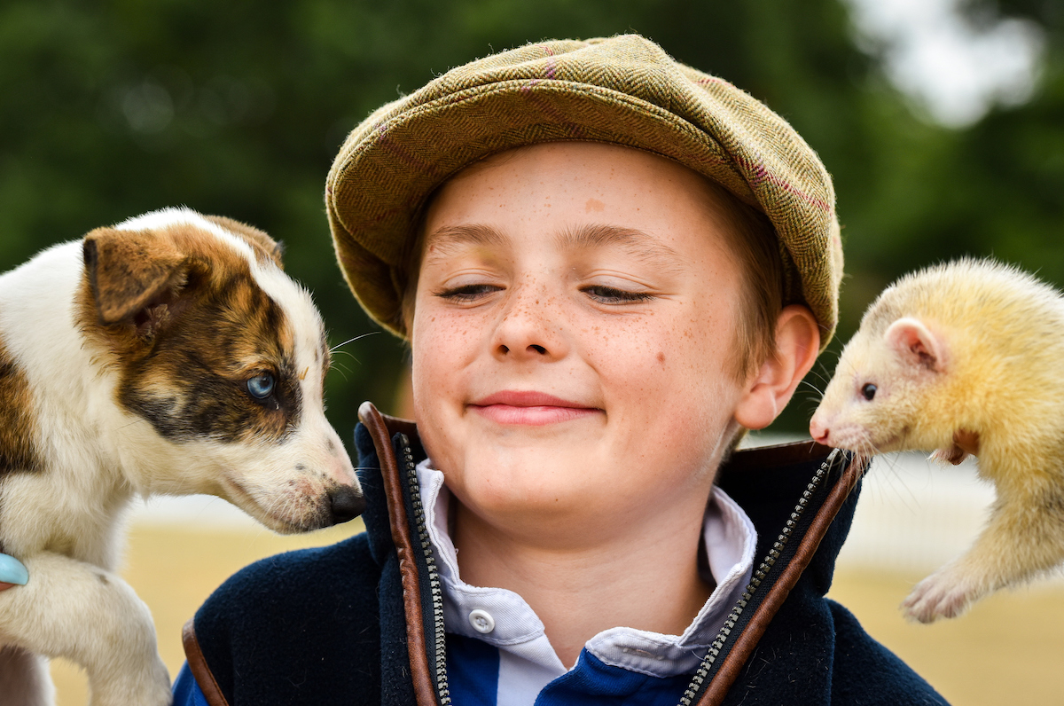 boy with puppy and ferret 