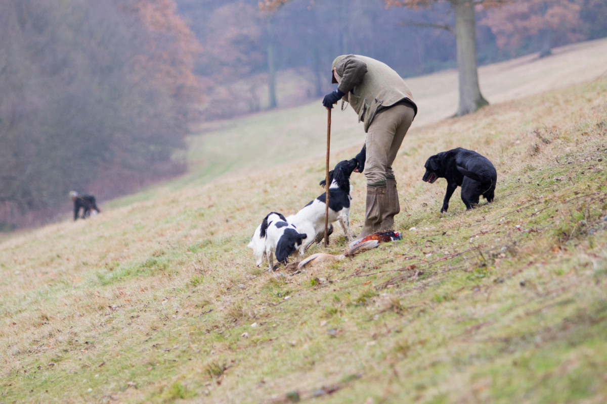 Closing the Shooting Season