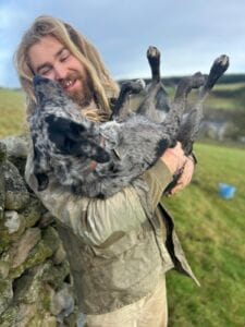 Barney Murray, Dry Stone Waller